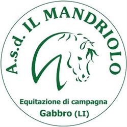 Asd Il Mandriolo