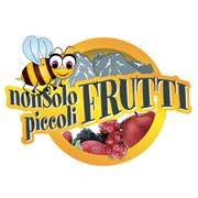 Non Solo Piccoli Frutti di Bonariva Marcella