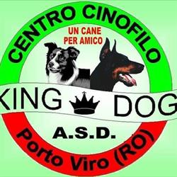 Asd King Dog