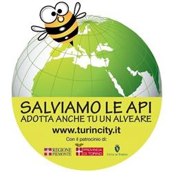 Associazione Turincity