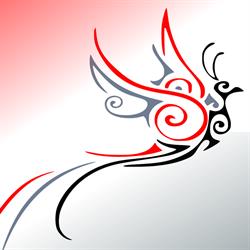 Fenice Immobiliare