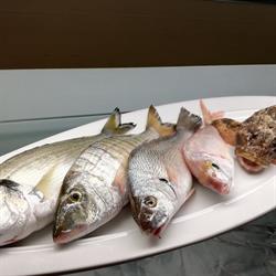 Tonì