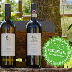 Fattoria di Montefiridolfi