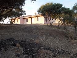Agriturismo La Fillirea