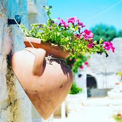 B&B Trulli Donna Isabella