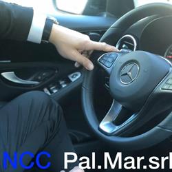 Pal.Mar