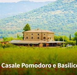Il Casale Pomodoro e Basilico