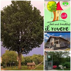 B&B il rovere