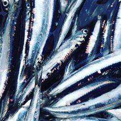 Pescheria Gastronomia L’Acciuga
