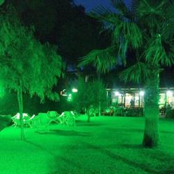 Bar Green Park