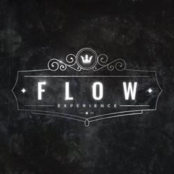 Flow Experience