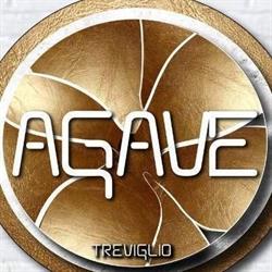 Agave
