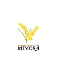 Mimosa Gelateria Caffetteria
