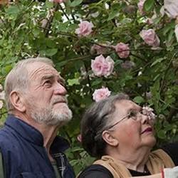 Il parco delle rose - orto-roseto Garlant Fabiani