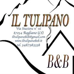 B&B Il Tulipano