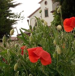 Agriturismo I Duchi Pellegrini