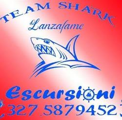 Escursioni Team Shark Lanzafame