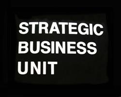 Strategic Business Unit