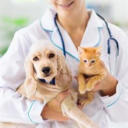 Ambulatorio Veterinario StabiaVet