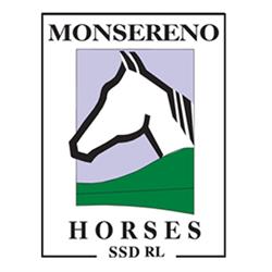 Monsereno Horses