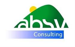 ABSV Consulting