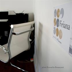 Feiana Business Center