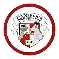 CANbridge University