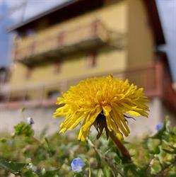 B&B Tomaselli
