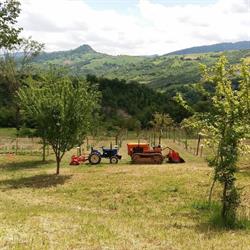 Agriturismo Villa Valente (Agricamping in Le Marche)