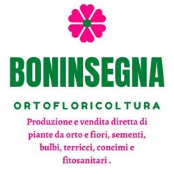 Piante e Sementi di Stefano Boninsegna
