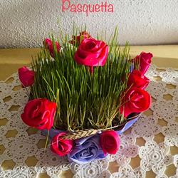 Bed Breakfast Le Petunie