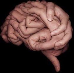 Palestra Cognitiva