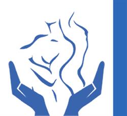 Dott.ssa Osteopata - Medicina manuale - Silvia Vitale