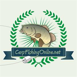 Carpfishingonline.net