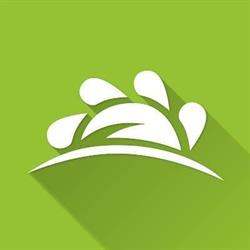 MV Consulting