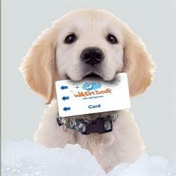 WASH DOG Firenze Novoli