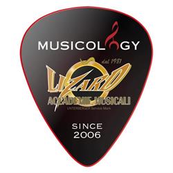 Musicology