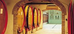 Cortona Wine Tours