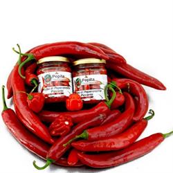 Pepita Srl