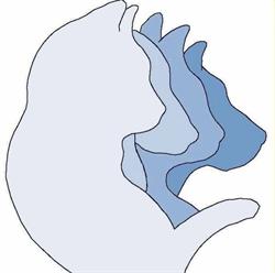 Dimensione Animale Rho - il Gattile di Rho