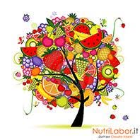 Nutrilabor