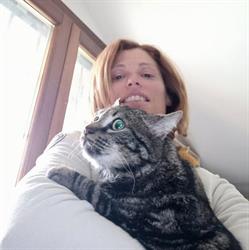 B&B I Gatti del Castello