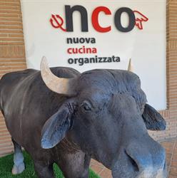 Nuova Cucina Organizzata