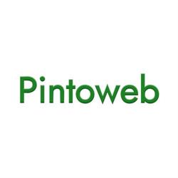 Pintoweb di Ligabue Vittorio