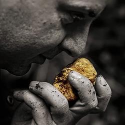 Truffle In Tuscany