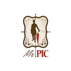 Mr PIC