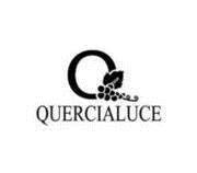 QUERCIALUCE Azienda Vitivinicola