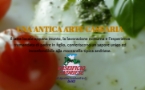 Promo homepage sito