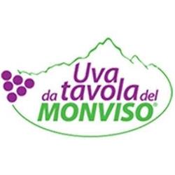 Uva da tavola del Monviso