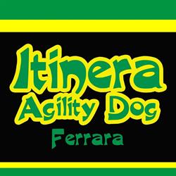 Itinera Agility Dog